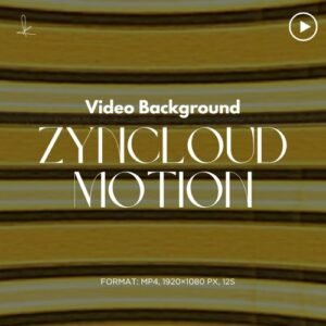 Zyncloud Motion