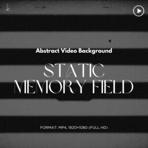 Static Memory Field